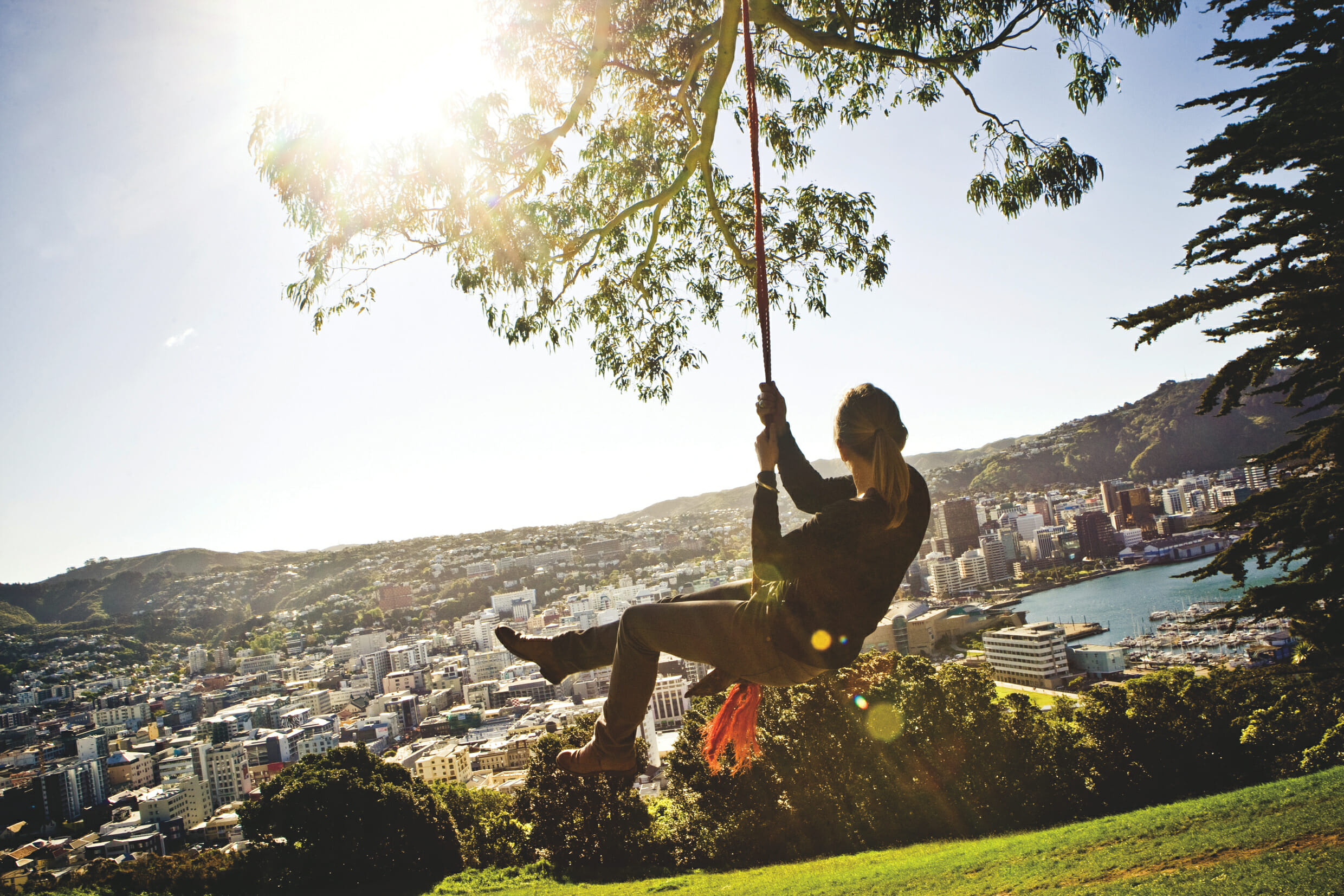 Things to do in Wellington with kids