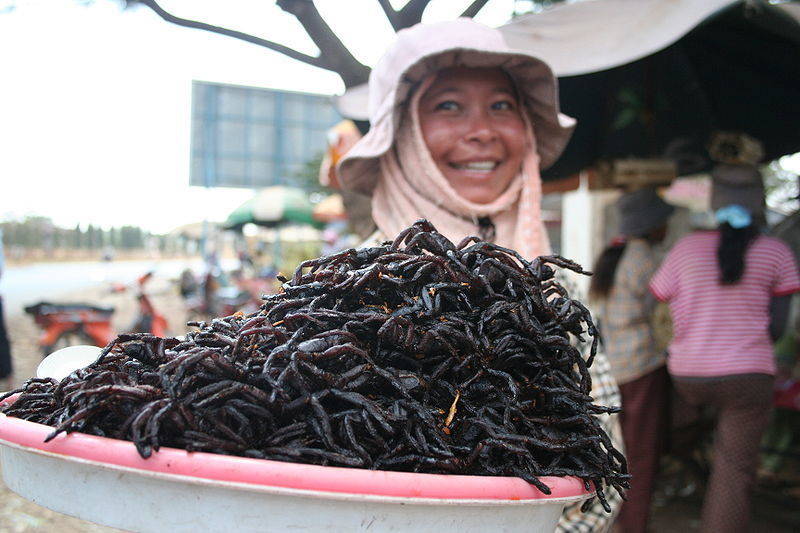 Cambodia with kids