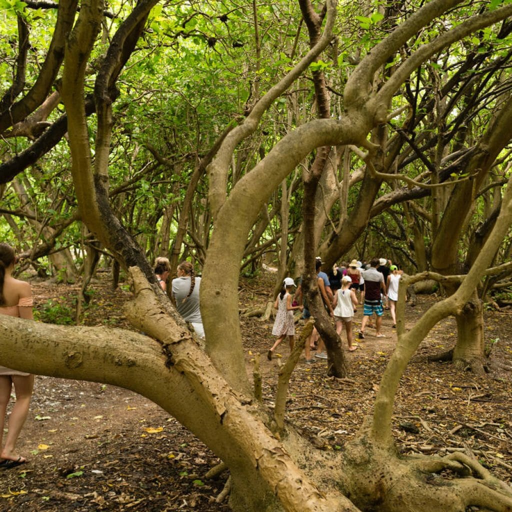 Great Barrier Reef island camping