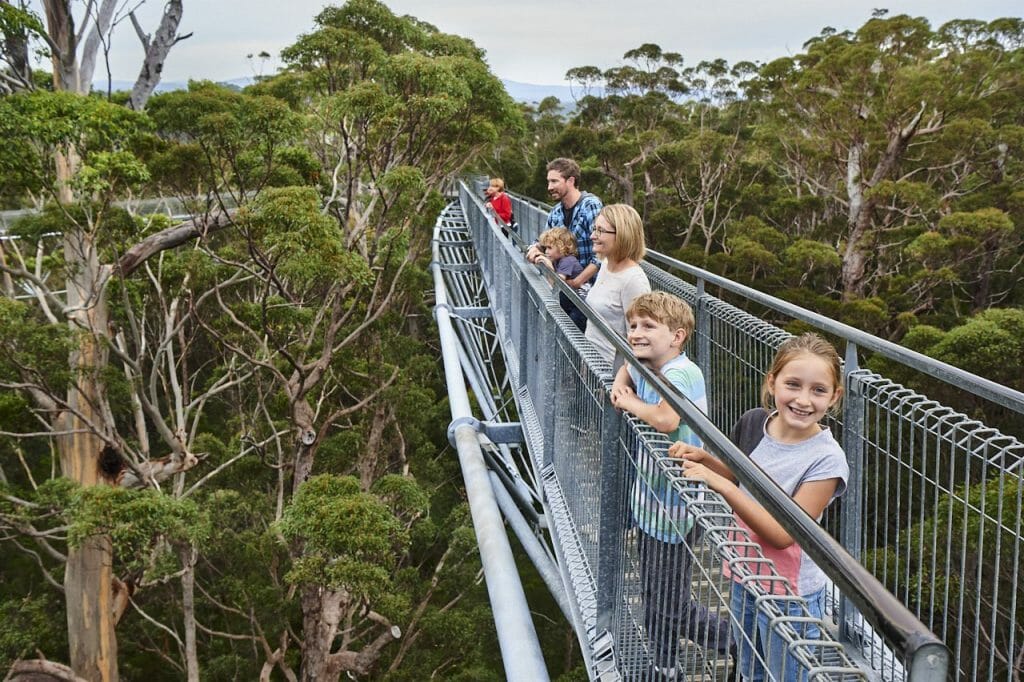 Kids standing on the tree top walk platform 40m above the Valley of the Giants forest floor