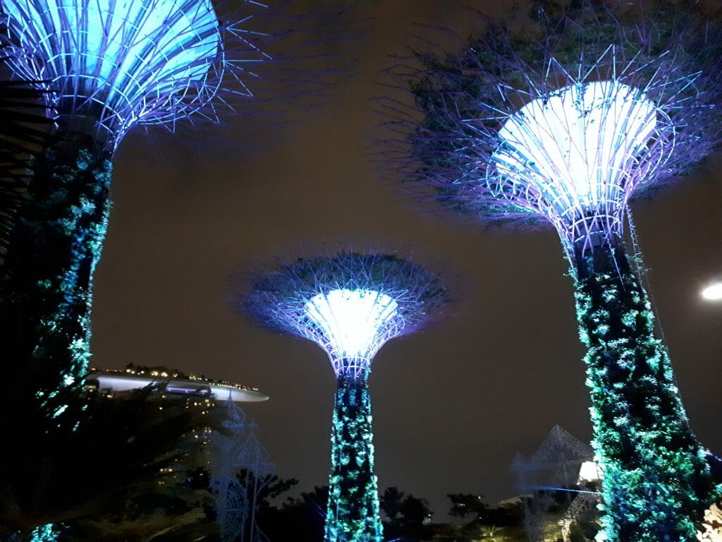 Huge artificial trees lit up at night in Singapore