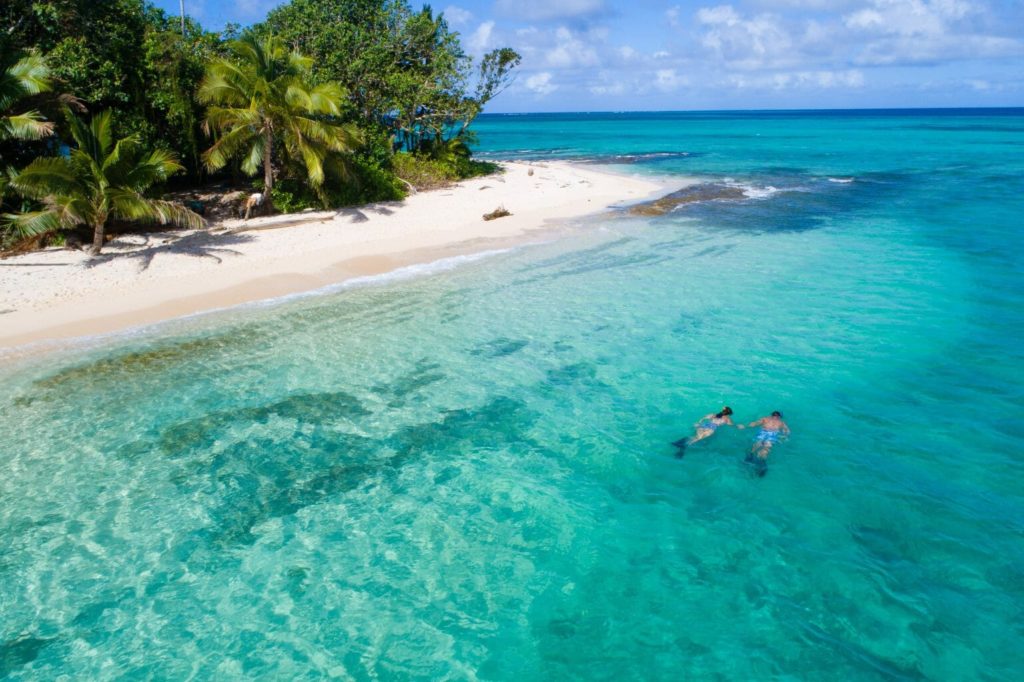 Couple snorkel in crystal blue water Fiji