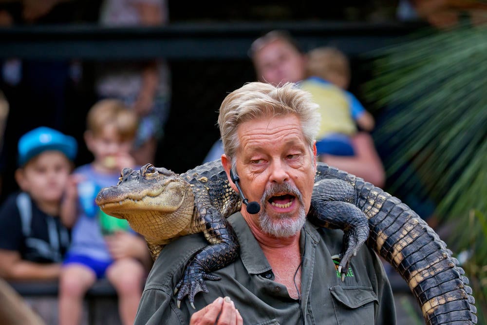 Park Ranger with a baby crocodile on his shoulders