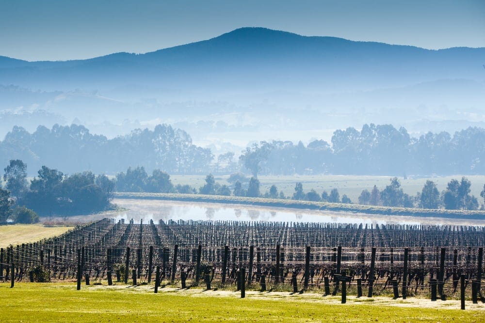 Yarra Valley child-friendly wineries