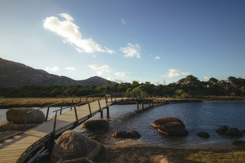 Boardwalk stretching over water