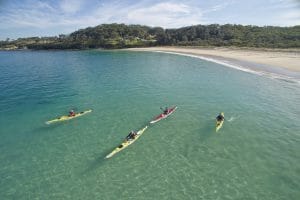 4 kayaks on the water at Jervis Bay