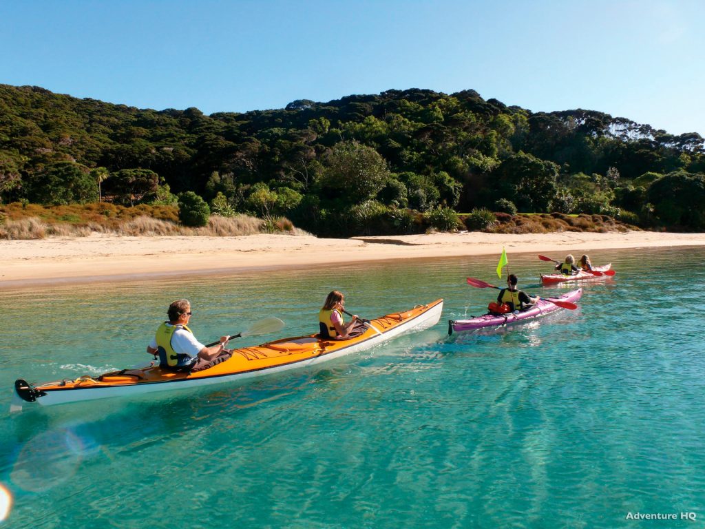 family kayaking in the bay of islands in summer