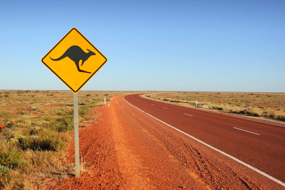 Australian outback road trip survival