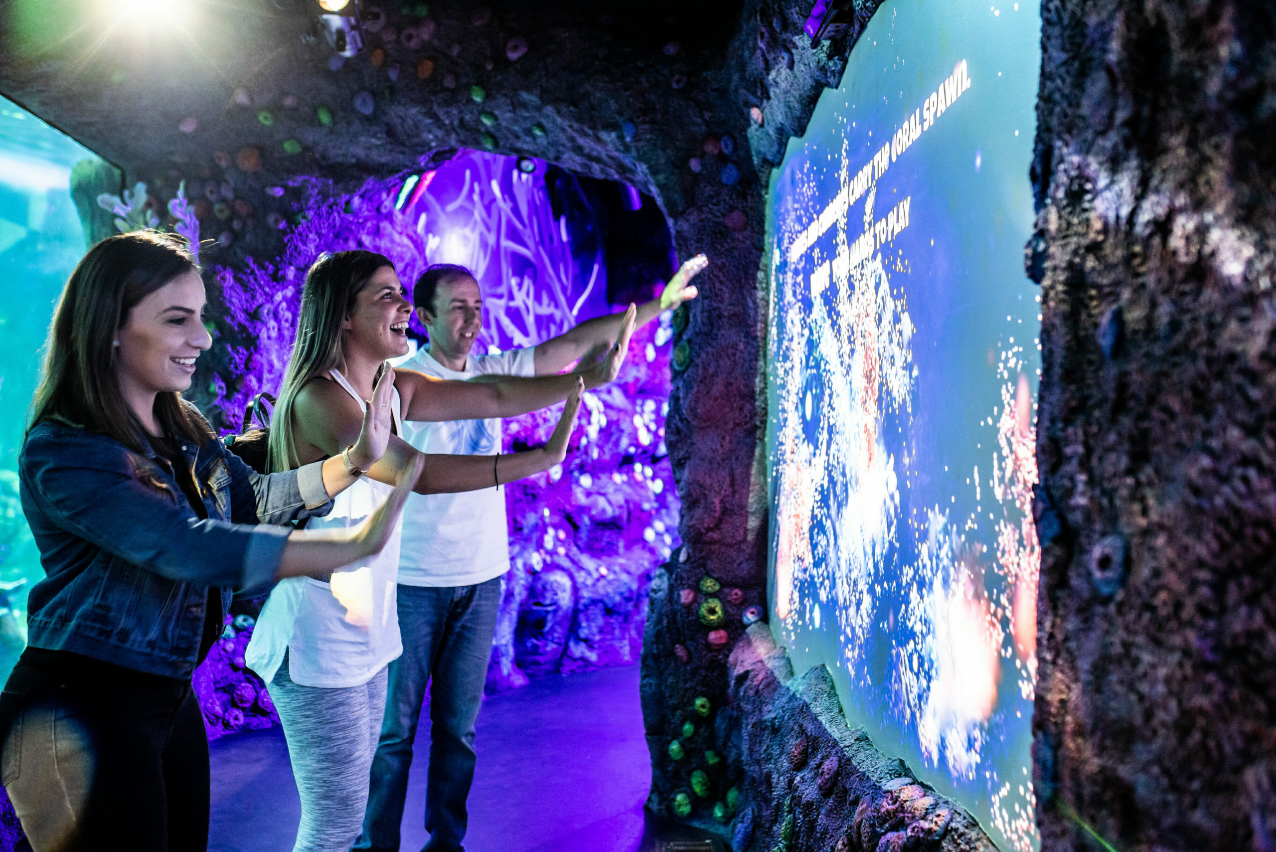 Interactive Great Barrier Reef light show exhibit at Sea Life Sydney Aquarium
