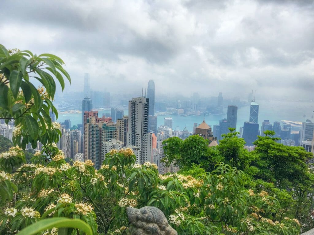 skyline, cloudy sky and green plants in foreground