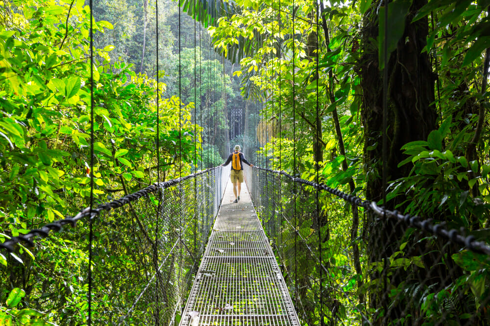 Hiking in green tropical jungle, Costa Rica, Central America - Image