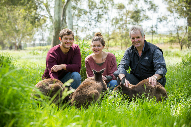 3 people feeding kangaroo at family-friendly wineries