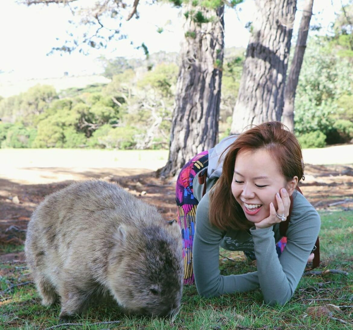 wombat selfie