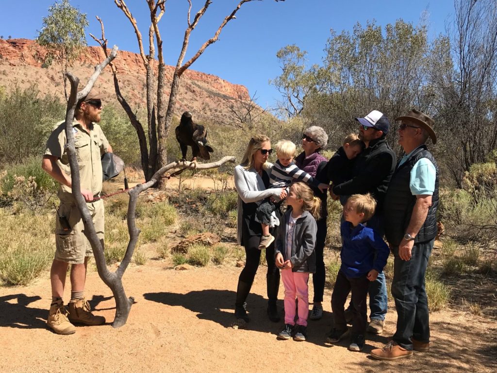 The Alice Springs Desert Park - best time to visit uluru and alice springs