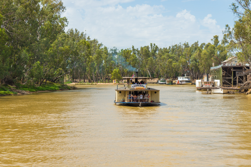 Murray River paddle steamer cruise