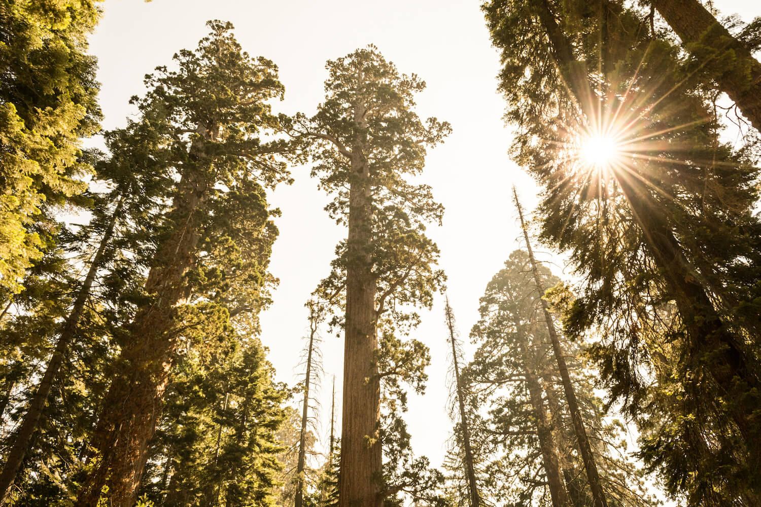 Yosemite National Park top world destination for families