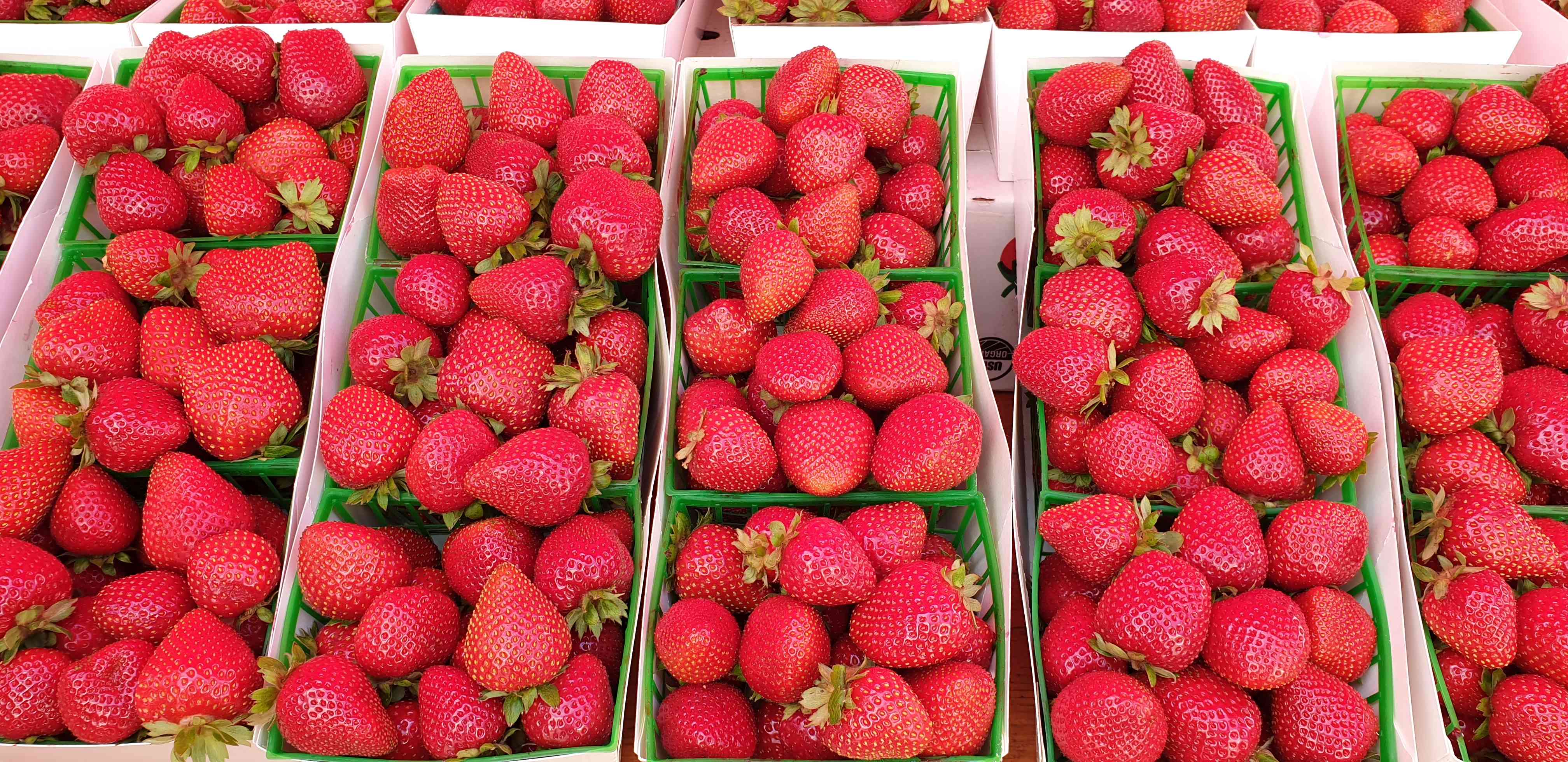 Santa Monica Farmers Markets