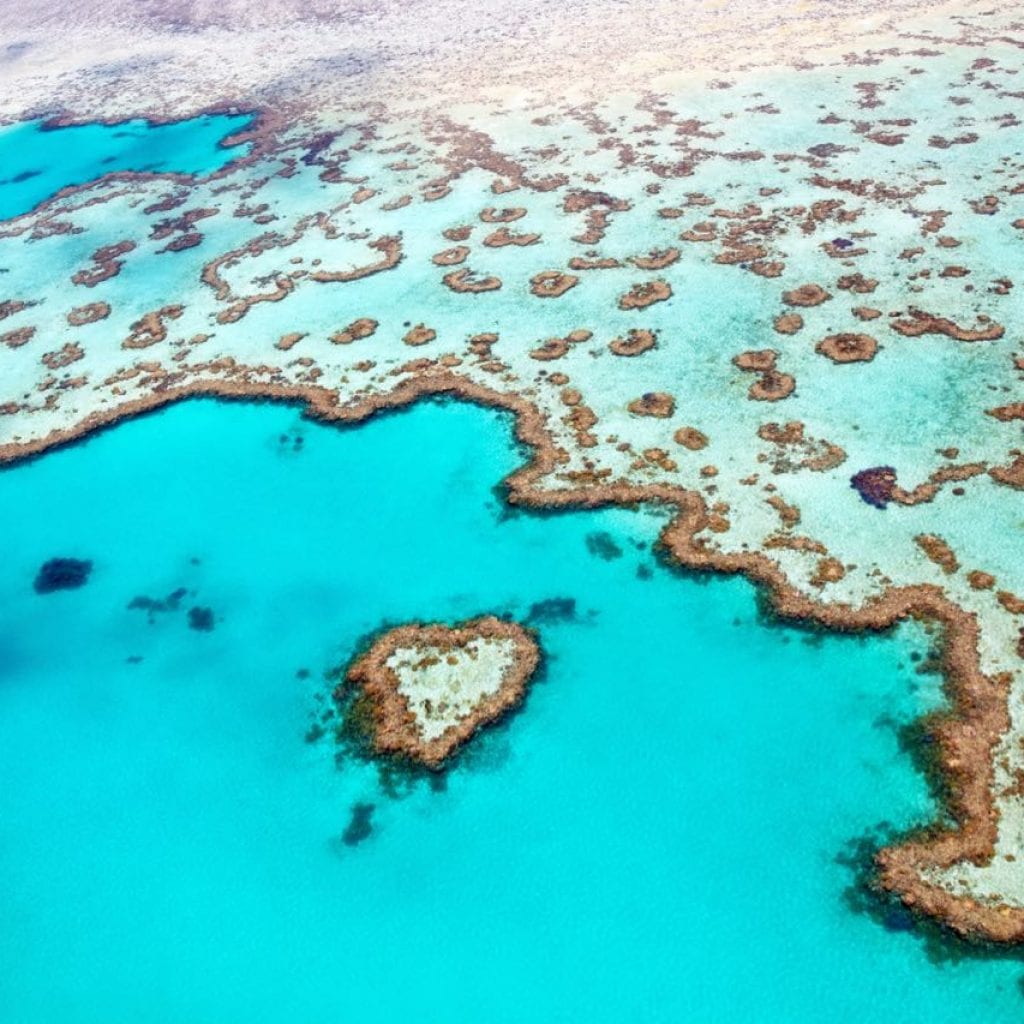 Heart Reef, Whitsundays