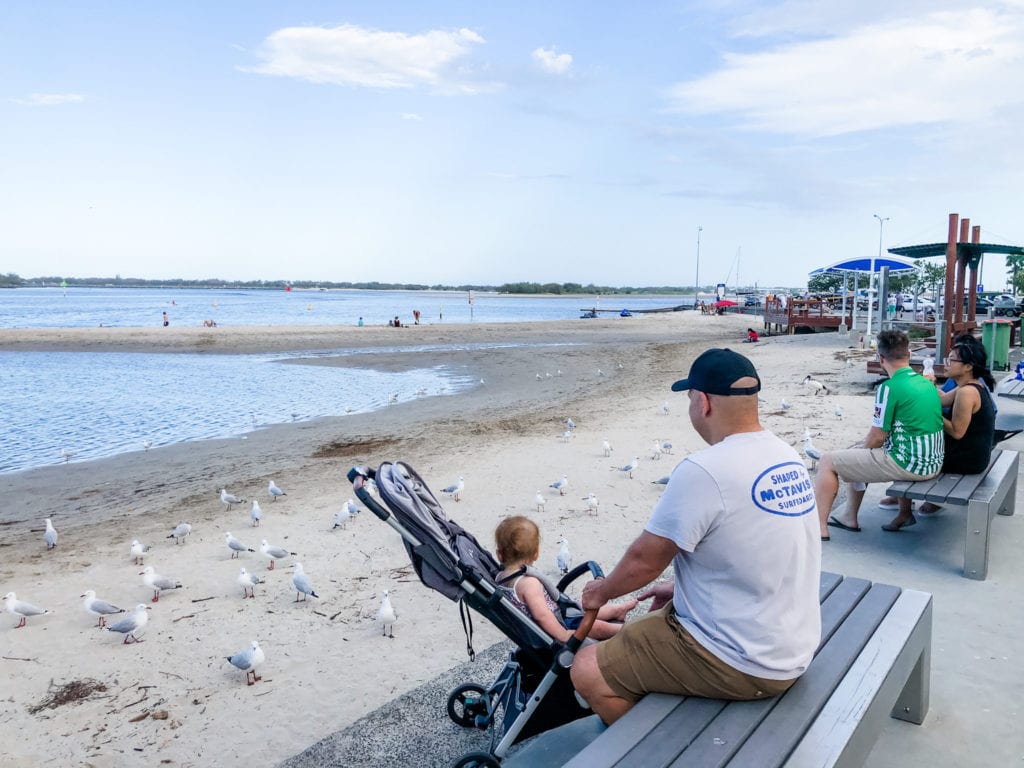 father and baby in a pram watching the birds at Harley Park, Gold Coast