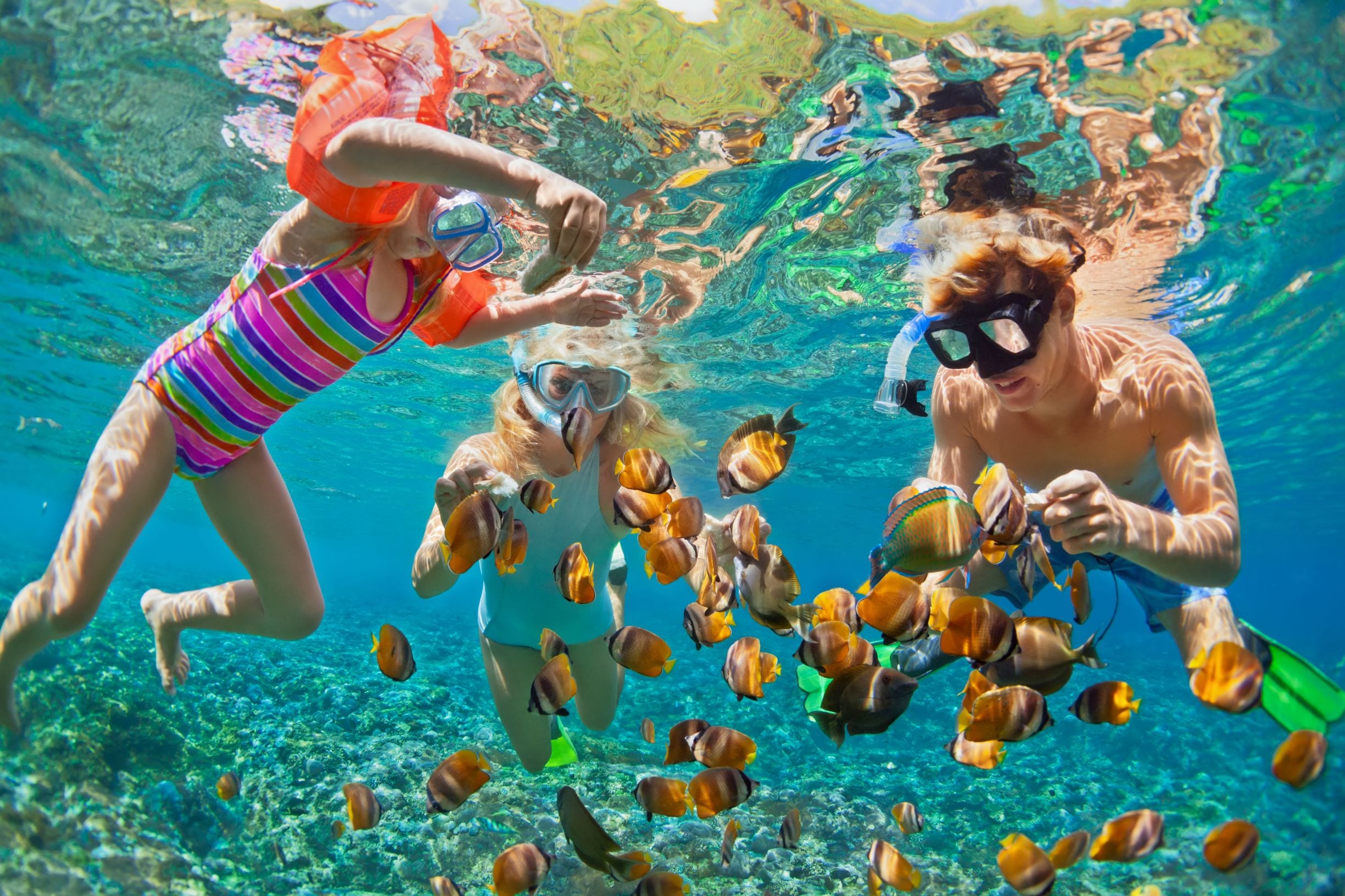 Things to do in the Great Barrier Reef with kids