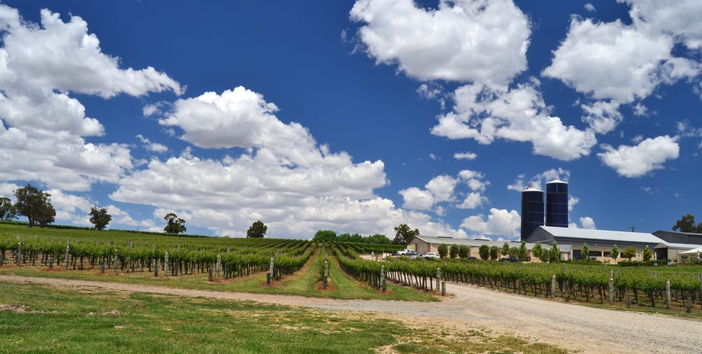 A winery in the Adelaide Hills, South Australia