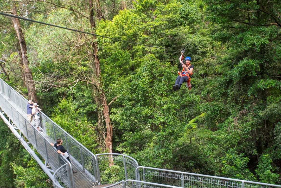 Try these top 10 activities in NSW to share the #LoveNSW