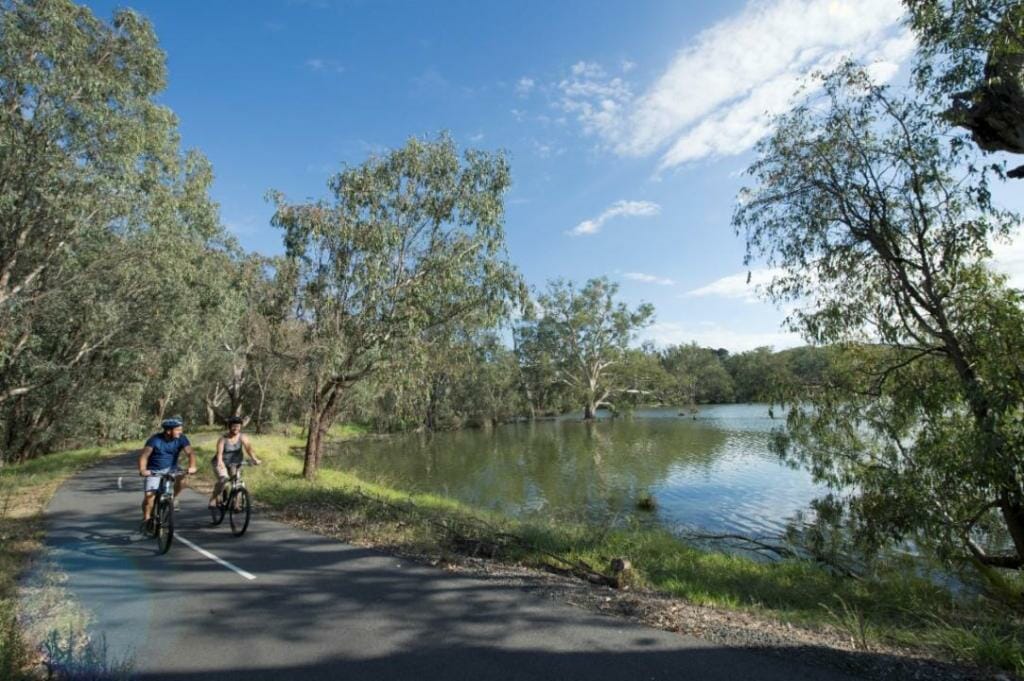 cyclists on the Wagirra Trail alongside the Murray River