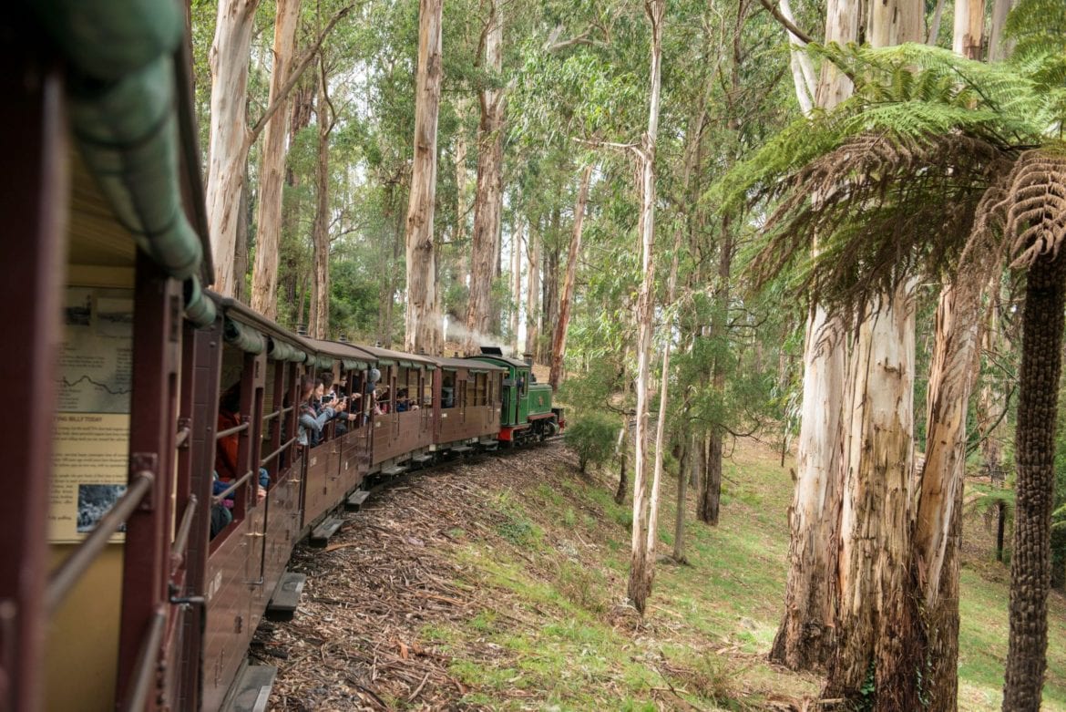 Things to do in the Dandenong Ranges with kids Family Travel