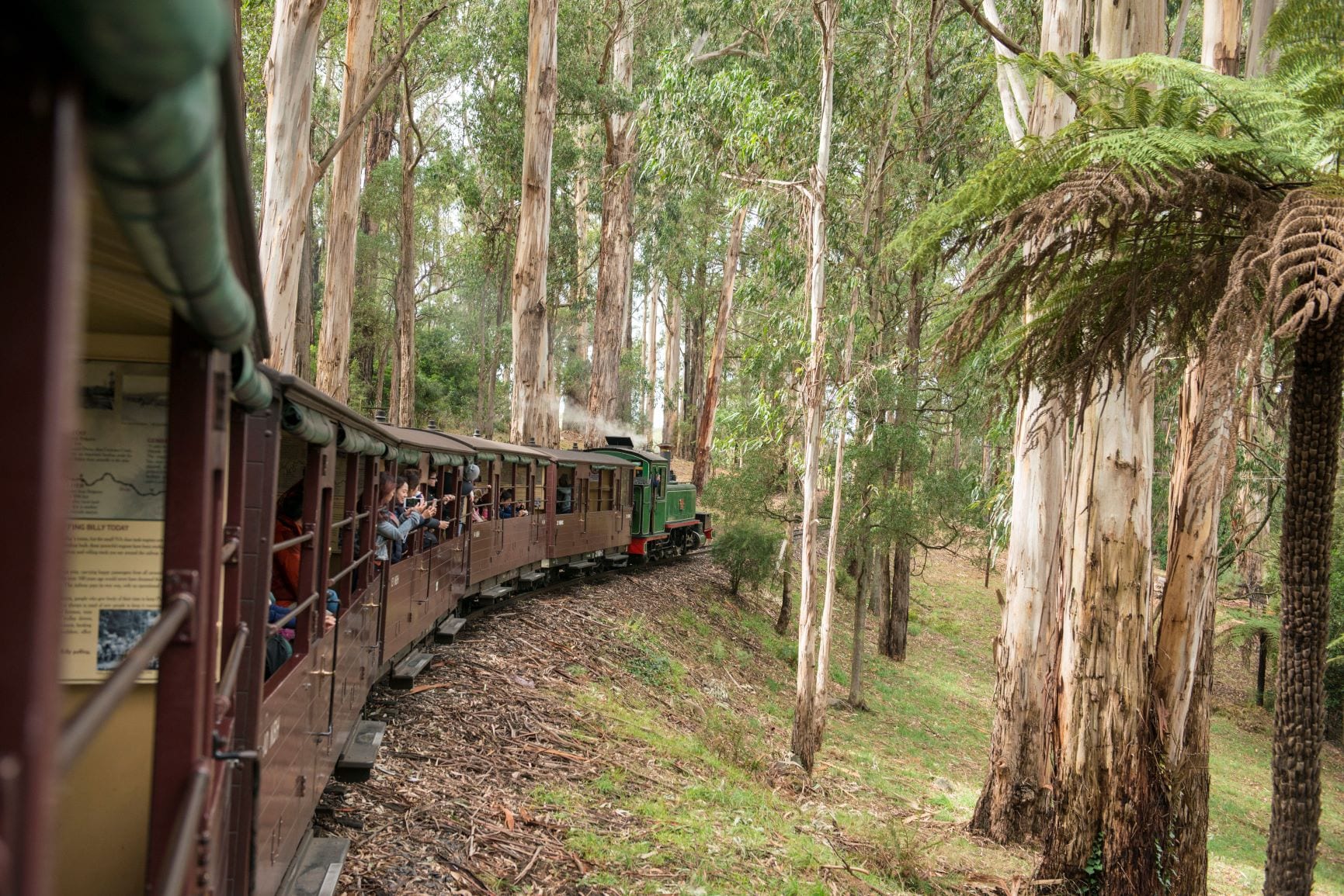 Things to do in the Dandenong Ranges with kids