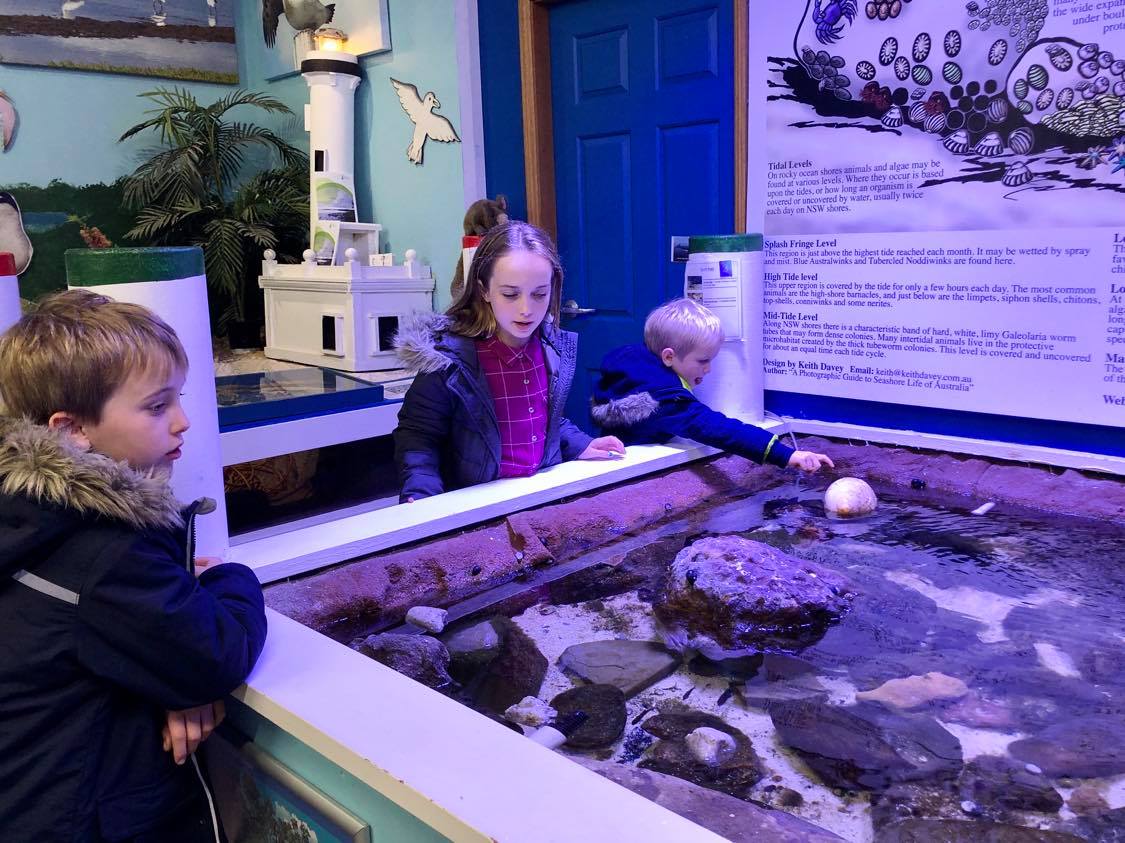 Why you’ll love the Central Coast Marine Discovery Centre