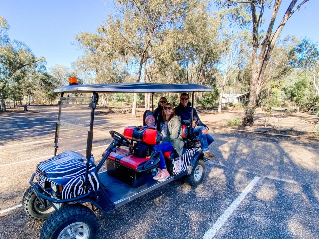 Golf buggy fun at Taronga Western Plains Zoo Dubbo