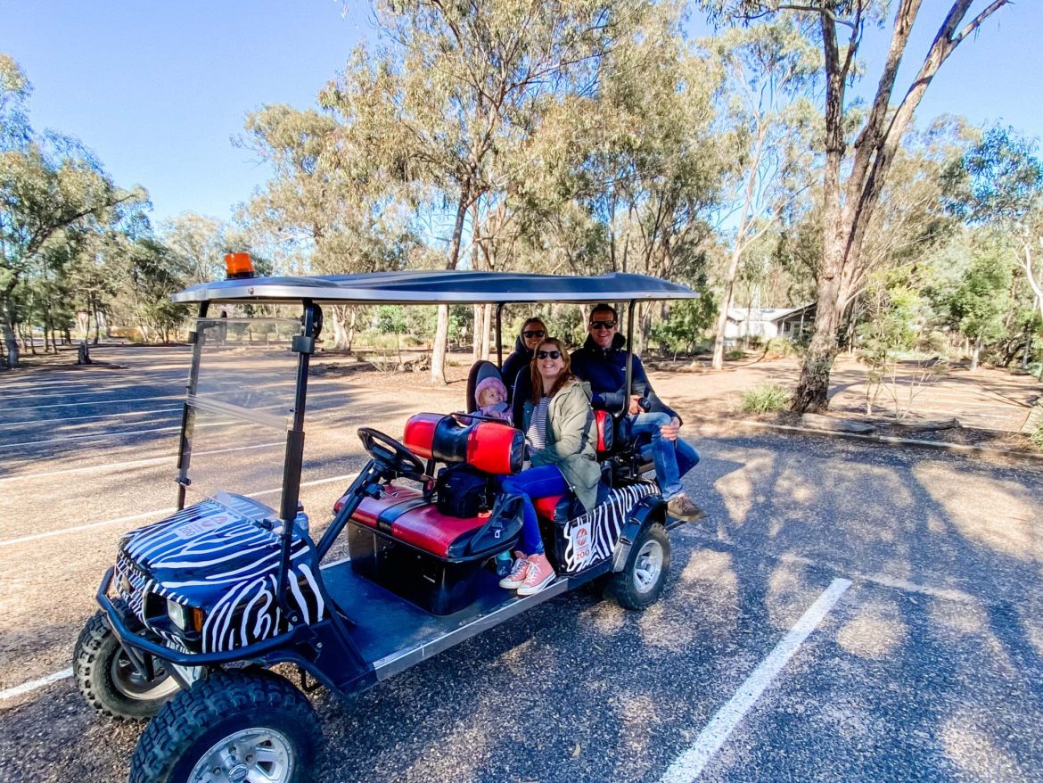 Dubbo Zoo The ultimate family guide Family Travel