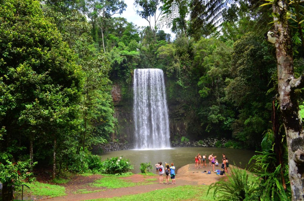 Millaa Millaa Falls Atherton Tablelands swim in nature