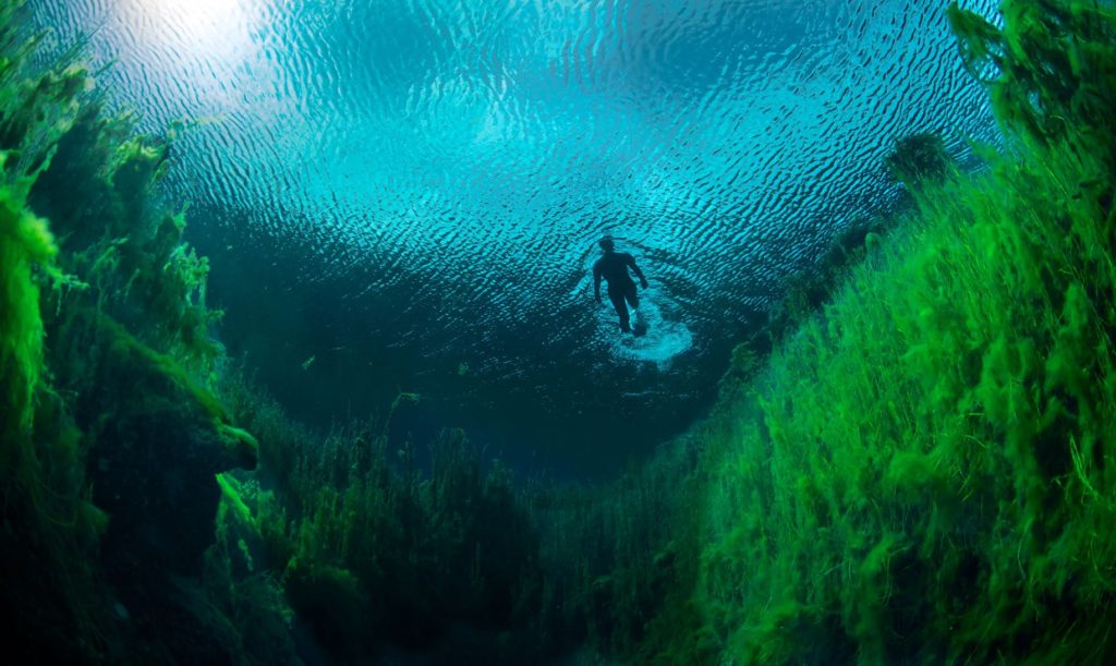 swim in nature Piccaninnie Ponds SA