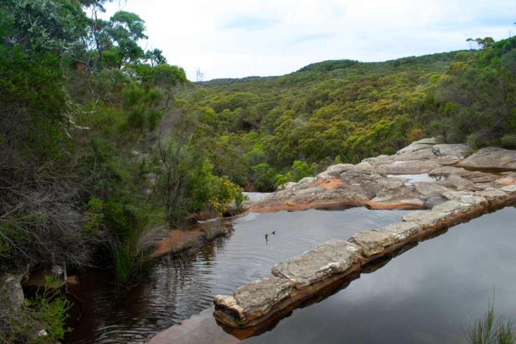 Wattamolla Dam is like a natural infinity pool amid the bushland! Credit: Shutterstock