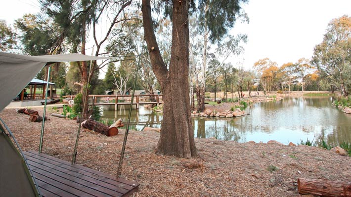 view of the billabong from the permanent tents at the Billabong permanent camping area at Dubbo Zoo