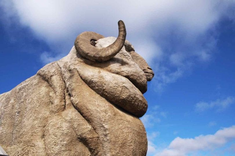The Big Merino standing at 15.2 metres tall located in Goulburn.