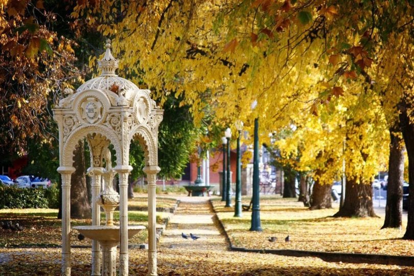 Autumn leaves in one of the many parks in Bathurst, NSW