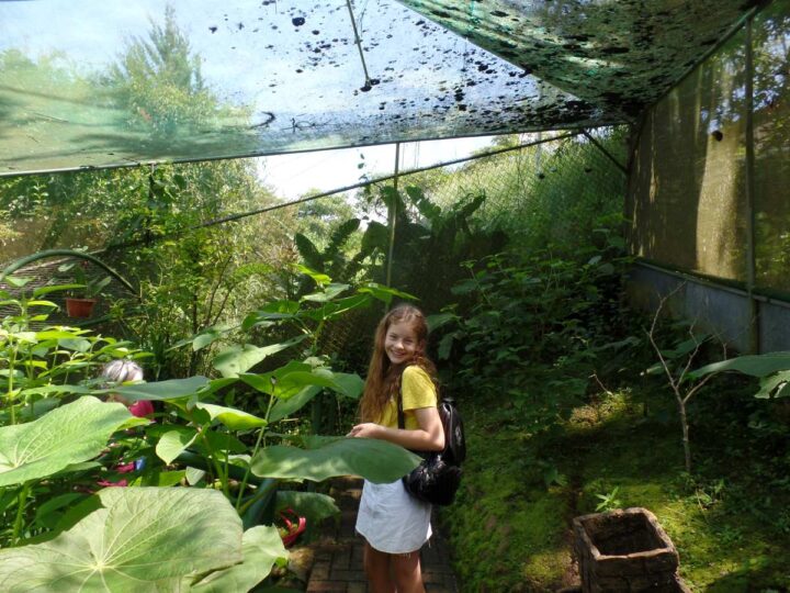 young girl with long hair and yellow t-shirt in a butterfly farm. No butterflies visible